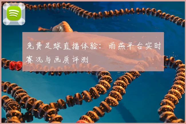 免费足球直播体验：雨燕平台实时赛况与画质评测
