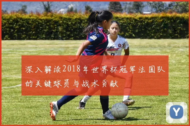 深入解读2018年世界杯冠军法国队的关键球员与战术贡献