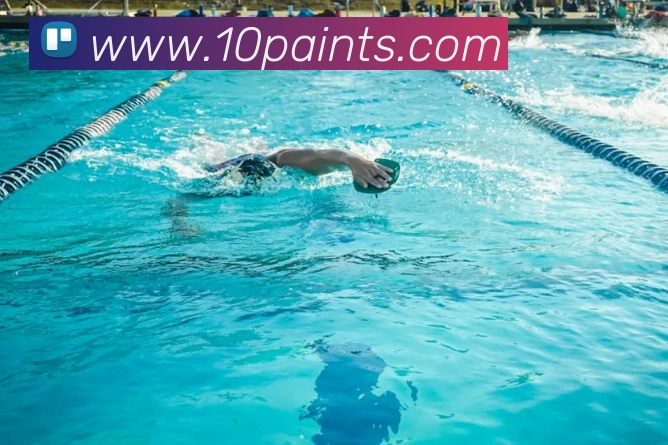 开云app在线入口网页版全站App